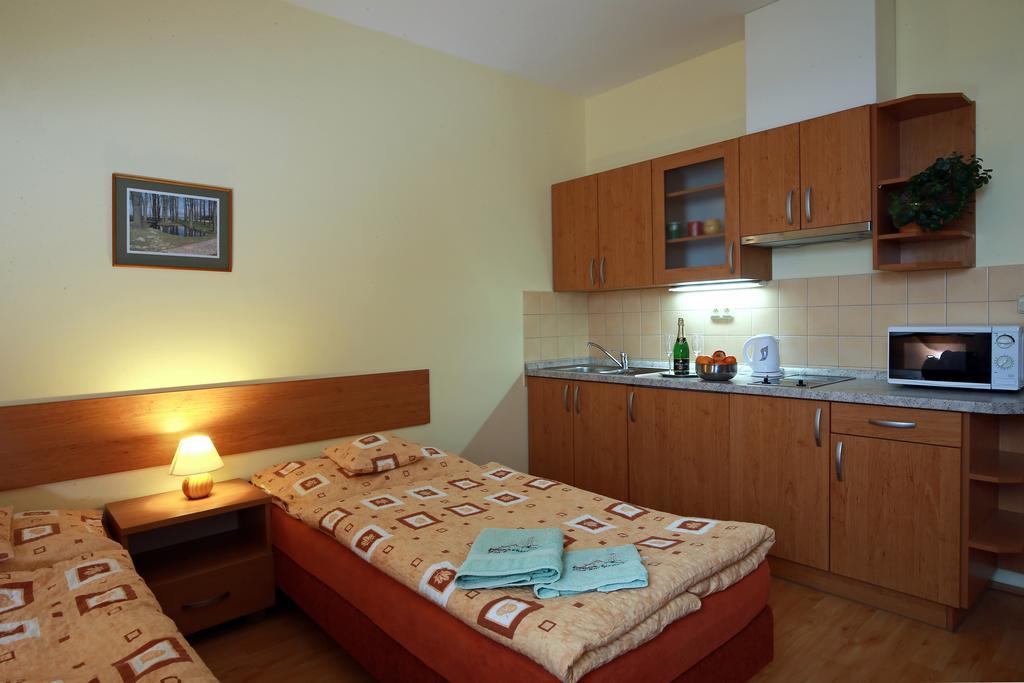 Wellness Penzion Pod Rozhlednou Kostelec nad Orlicí Quarto foto