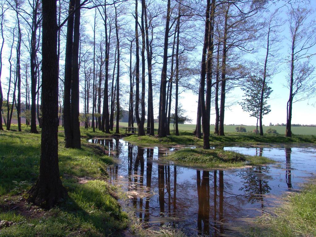 Wellness Penzion Pod Rozhlednou Kostelec nad Orlicí Exterior foto